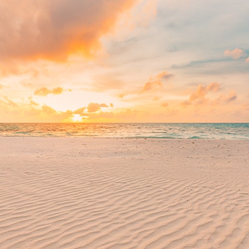 Emotion-focused Therapy (EFT)