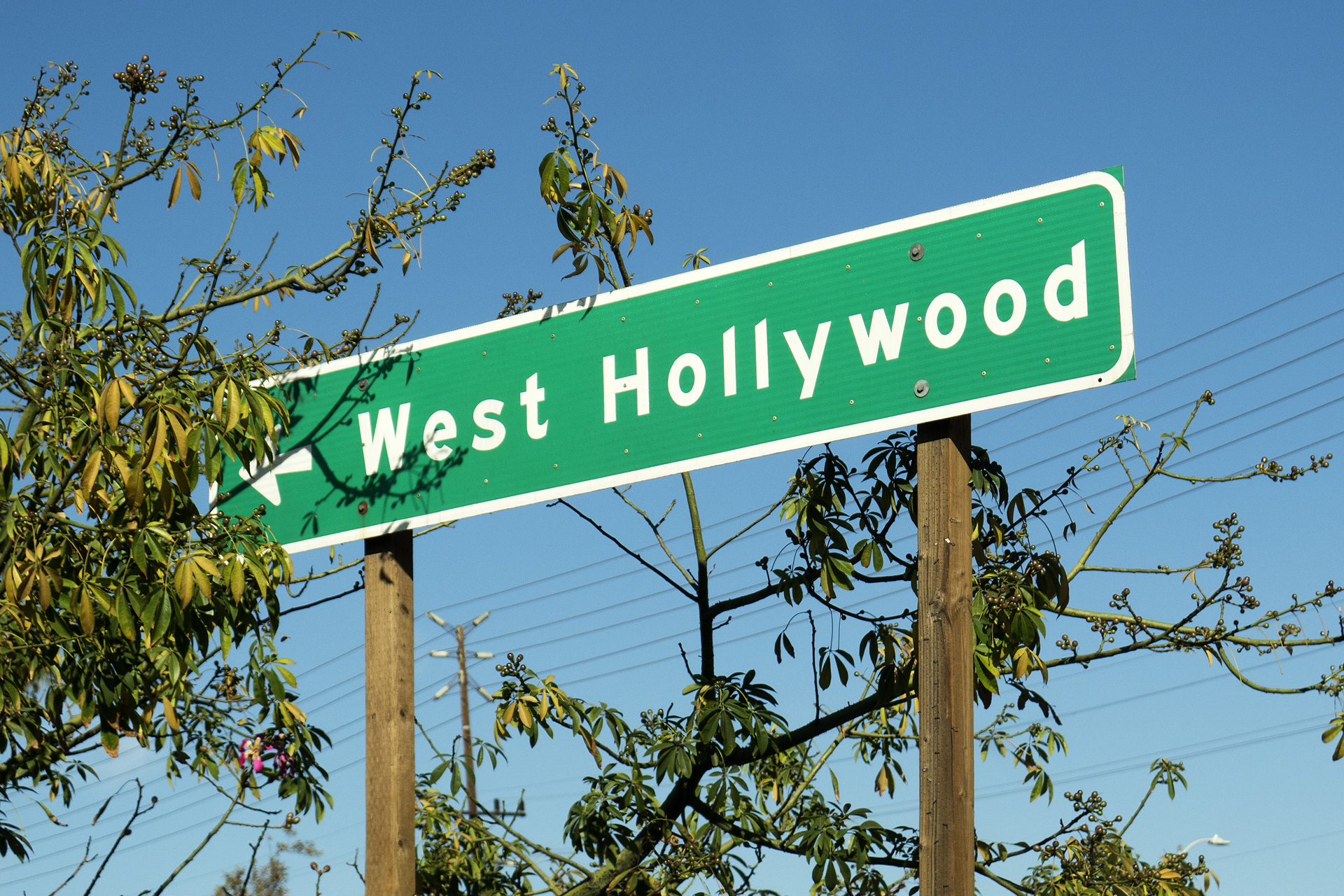 Choosing a Therapist in West Hollywood