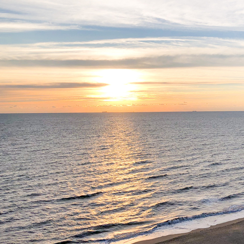 Cognitive Behavioral Therapy (CBT)