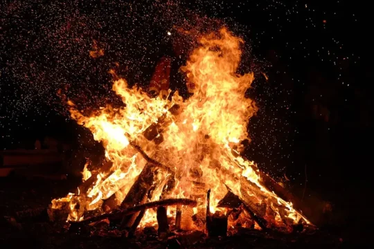 Discipline, Your New Favorite Emotion