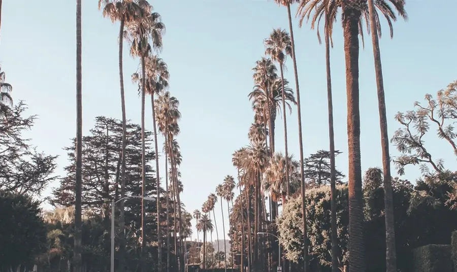 Exposure Therapy for Anxiety - Los Angeles